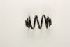 BMW 33531095736 Coil Spring